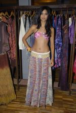 at Kavita Bhartia_s metalwork launch and Divya Mohta_s resort wear collection in Ogaan on 20th Dec 2011 (13).JPG